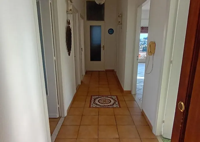 Horizon 陶尔米纳